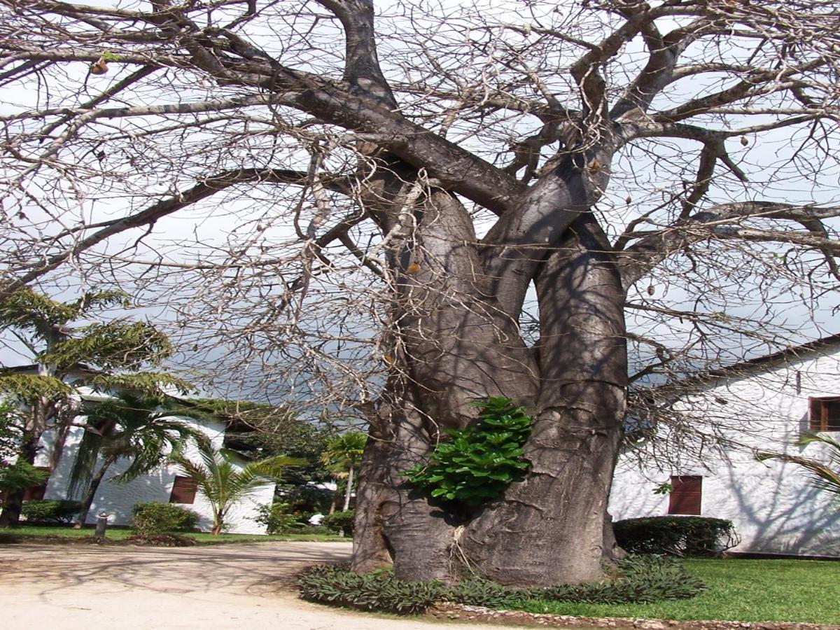 Hotel Pinewood And Diani Beach